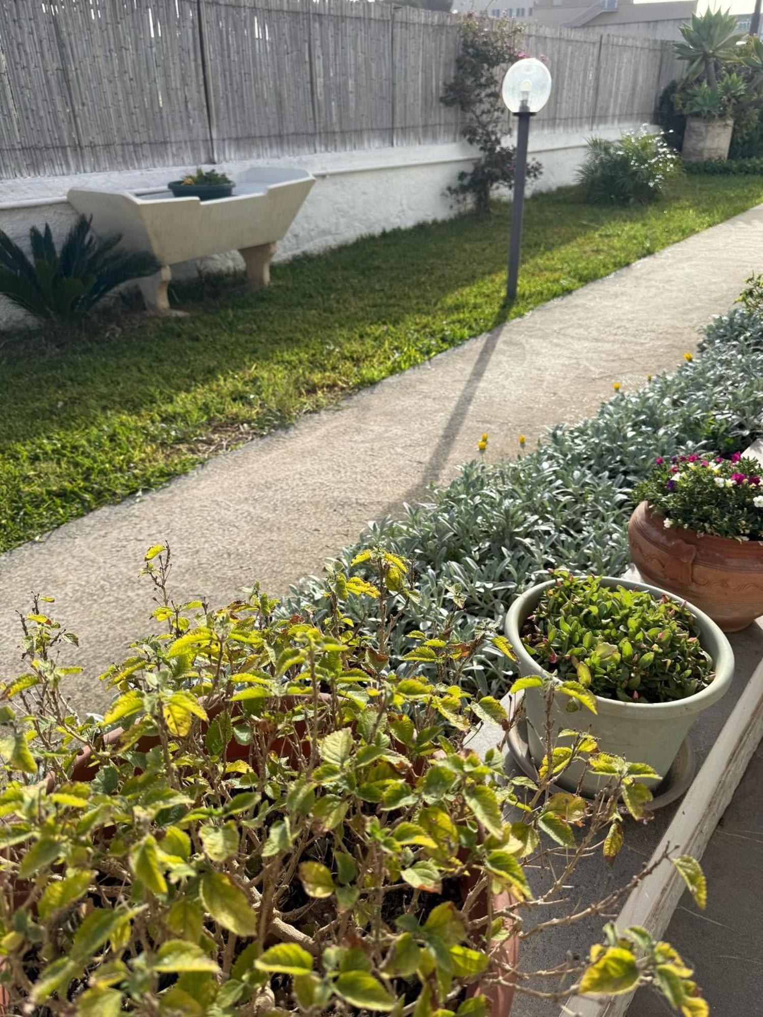 A Casa Di Coso B&B Marsala Exteriör bild